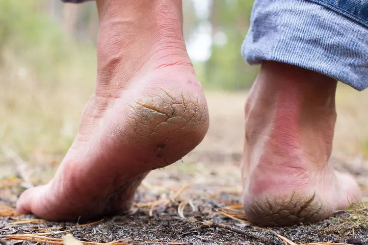 Crack Blaster Repair & Revive Bundle